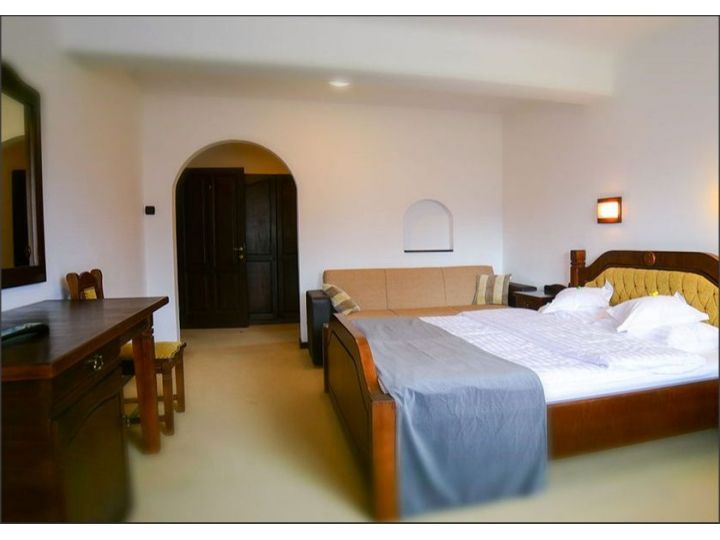 Pensiunea Bran Chalet, Bran - imaginea 
