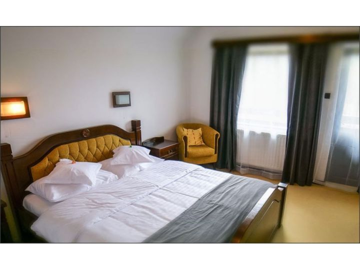 Pensiunea Bran Chalet, Bran - imaginea 