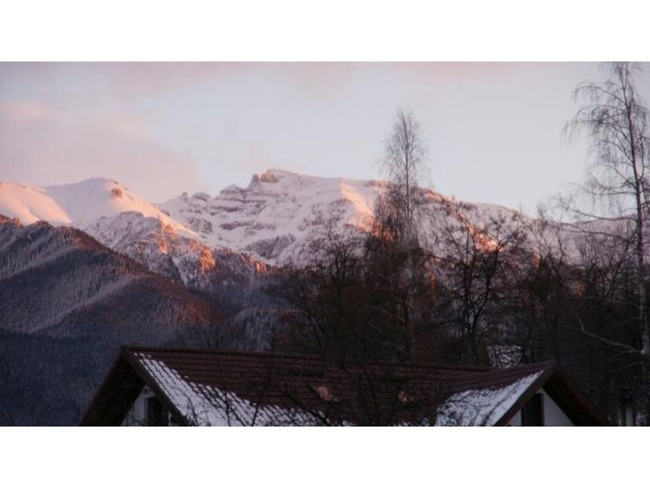 Pensiunea Casa Dalia, Poarta Bran - imaginea 