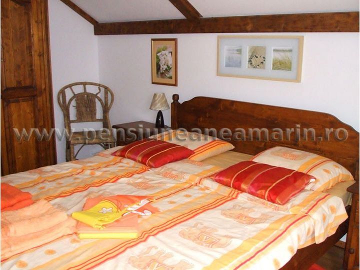 Pensiunea Nea Marin, Magura Brasov - imaginea 