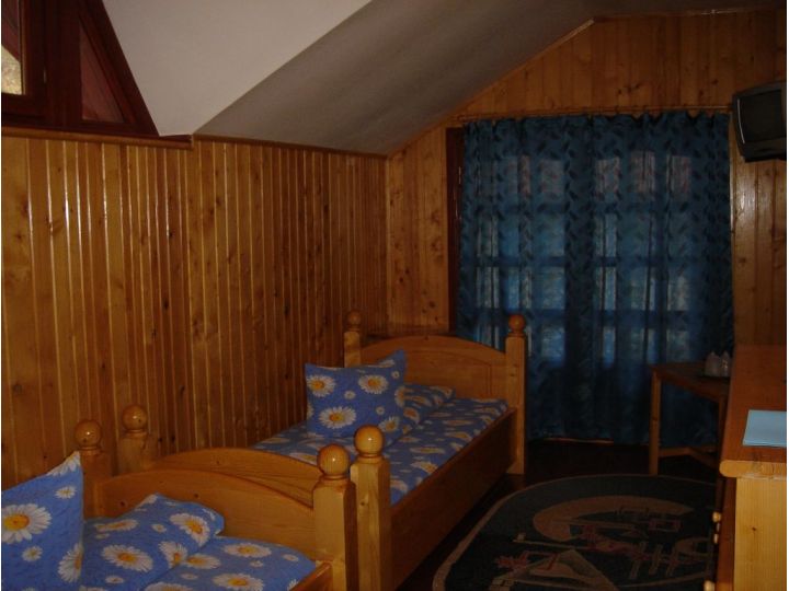 Pensiunea Rem's, Rasnov - imaginea 