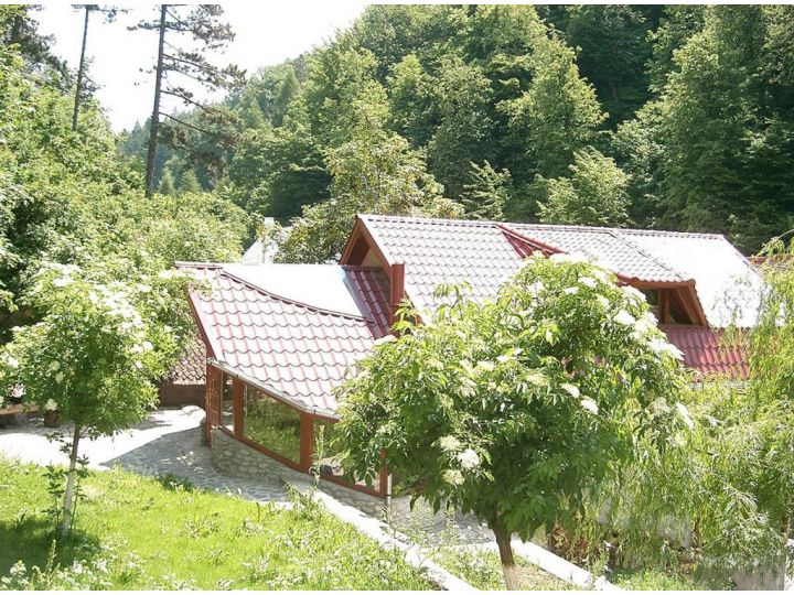 Pensiunea Rem's, Rasnov - imaginea 