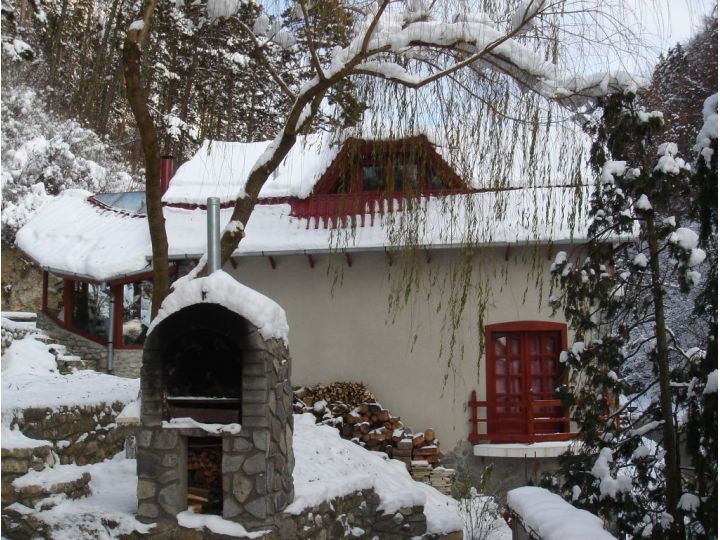 Pensiunea Rem's, Rasnov - imaginea 