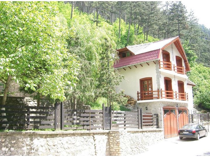 Pensiunea Rem's, Rasnov - imaginea 