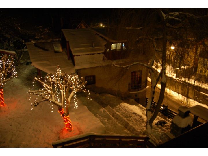 Pensiunea Rem's, Rasnov - imaginea 