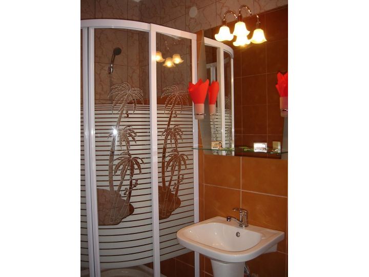 Pensiunea Rem's, Rasnov - imaginea 