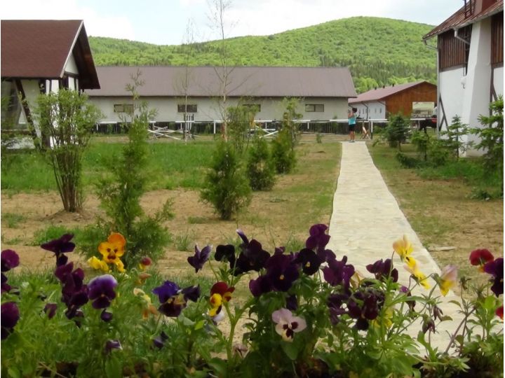Complex turistic Forest Ecvestru Park Sucevita, Sucevita - imaginea 