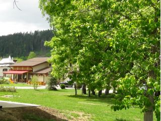 Complex turistic Forest Ecvestru Park Sucevita, Sucevita - 3