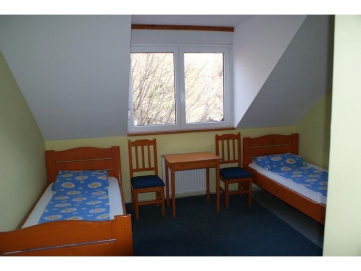 Pensiunea Casa Elim, Predelut - imaginea 