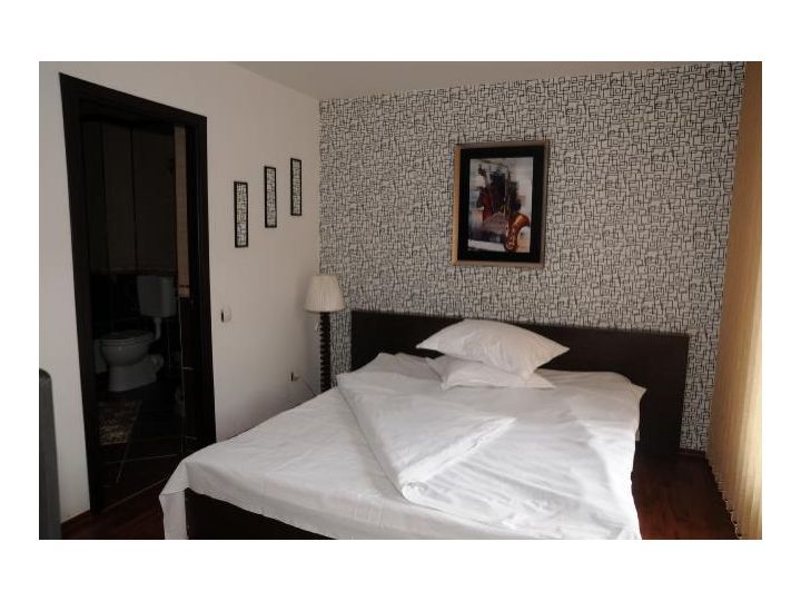 Pensiunea Casa Wenge, Sinaia - imaginea 
