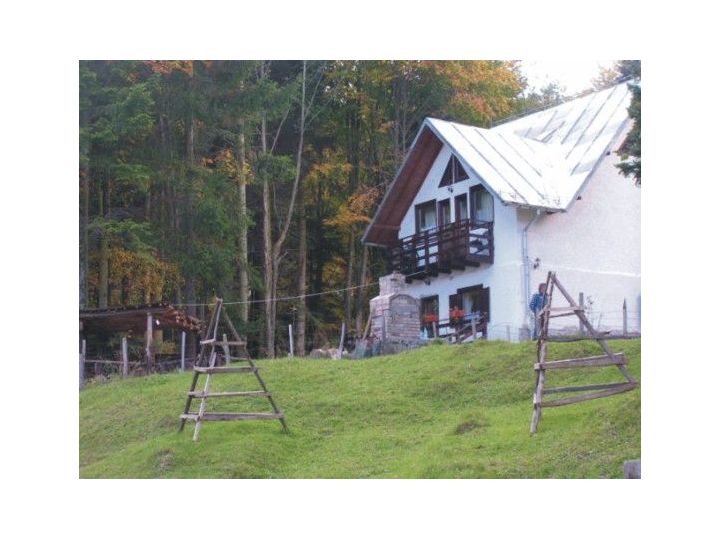 Pensiunea Casa Vulturilor, Sinaia - imaginea 