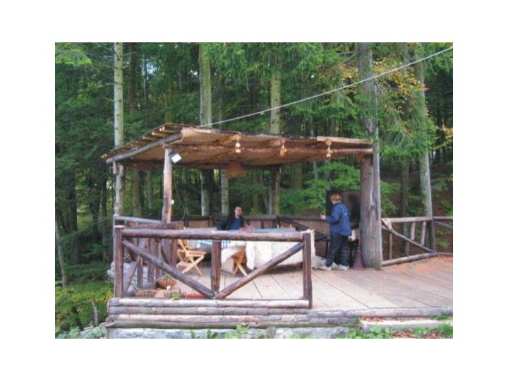 Pensiunea Casa Vulturilor, Sinaia - imaginea 