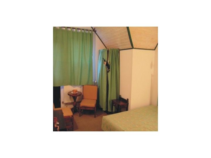 Pensiunea Casa Vulturilor, Sinaia - imaginea 