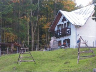 Pensiunea Casa Vulturilor, Sinaia - 1