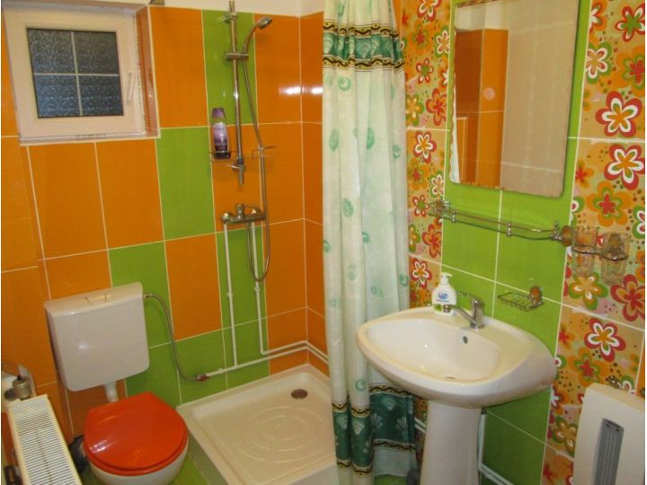 Cabana Dintre Brazi, Ranca - imaginea 