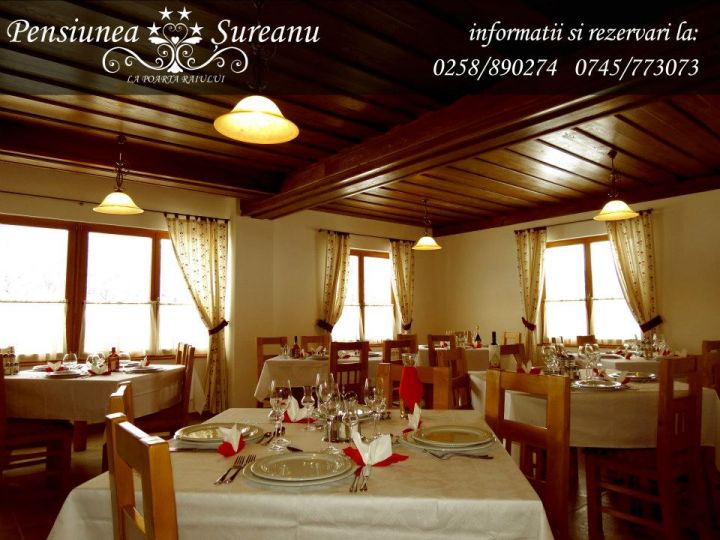 Pensiunea Pensiunea Sureanu, Sugag - imaginea 