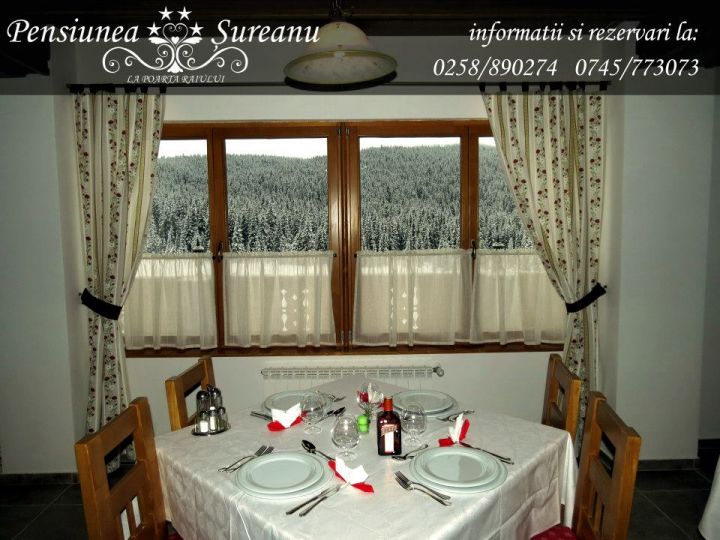 Pensiunea Pensiunea Sureanu, Sugag - imaginea 