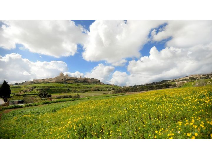 Hotel Westin Dragonara Resort, Malta - imaginea 