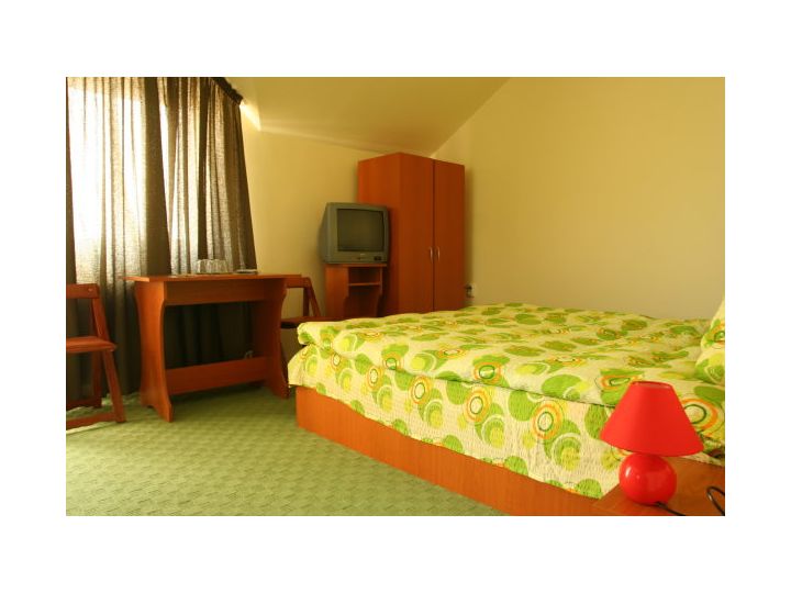 Pensiunea Casa Zmeilor Tasnad, Tasnad - imaginea 