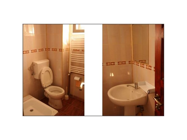 Pensiunea Casa Zmeilor Tasnad, Tasnad - imaginea 