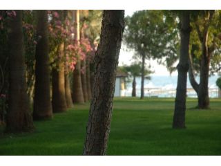 Hotel Barut Hemera Resort & Spa, Side - 4