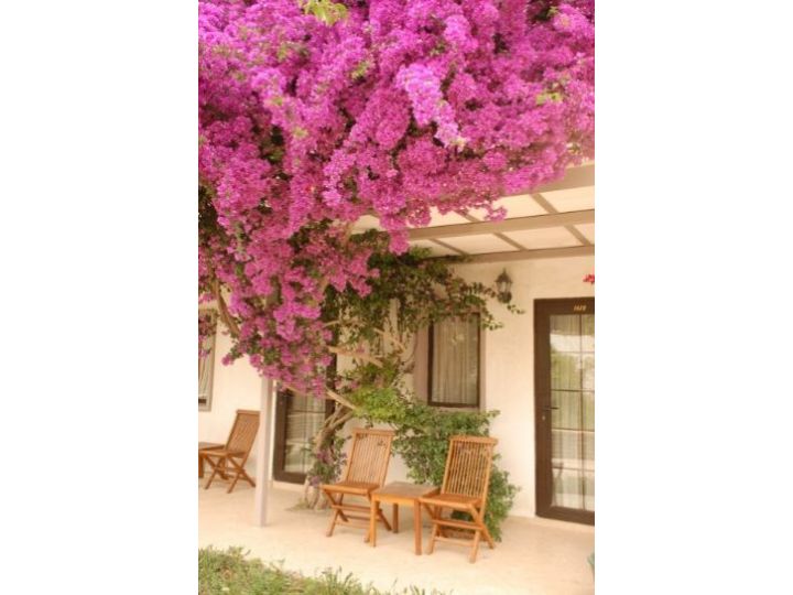 Hotel Club Mira Luna, Bodrum - imaginea 
