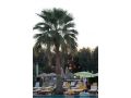 Hotel Club Mira Luna, Bodrum - thumb 37
