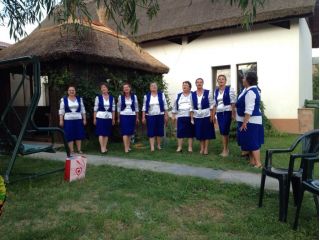Pensiunea Casa Galbena, Sfantu Gheorghe Tulcea - 3
