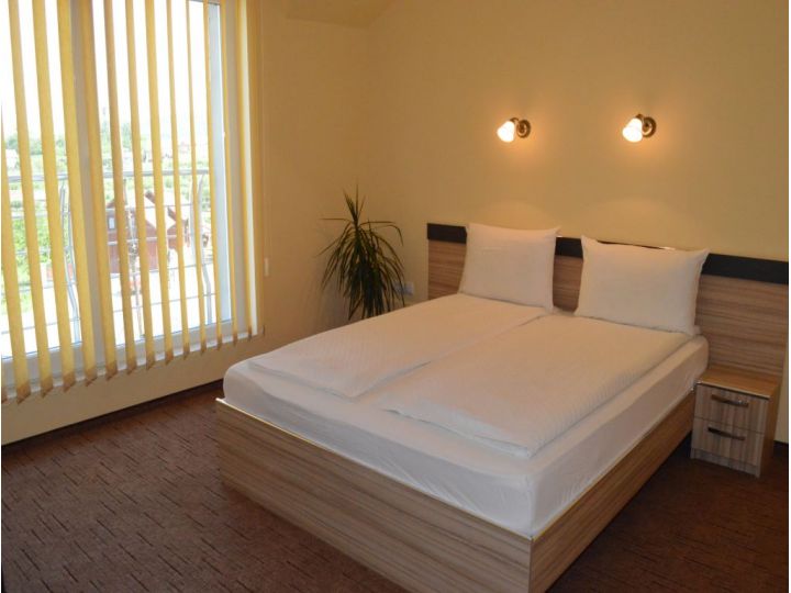 Pensiunea Beverly Hills, Baile Felix - imaginea