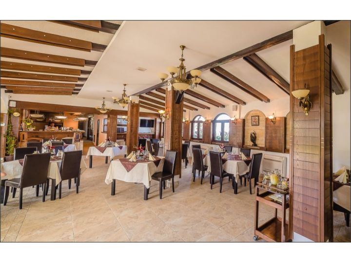 Hotel Roco, Timis - imaginea
