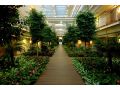 Hotel Gloria Serenity Resort, Belek - thumb 8