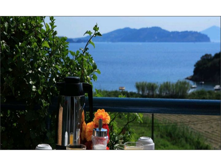 Hotel Plaza, Skiathos - imaginea 