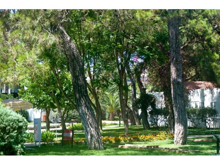 Hotel Club Majesty Kemer Beach, Kemer - imaginea 