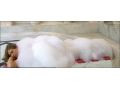 Hotel Grand Mir Amor, Kemer - thumb 11