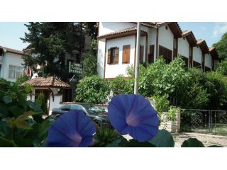 Hotel Kaliptus, Kemer - 1