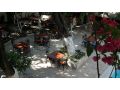 Hotel Kaliptus, Kemer - thumb 9