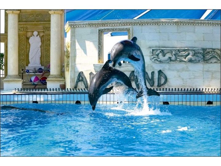 Hotel Dolphinpark Adaland, Kusadasi - imaginea 