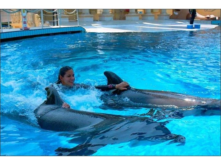 Hotel Dolphinpark Adaland, Kusadasi - imaginea 