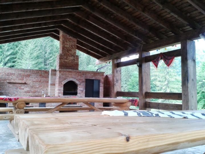 Pensiunea Bucovina, Malini - imaginea 
