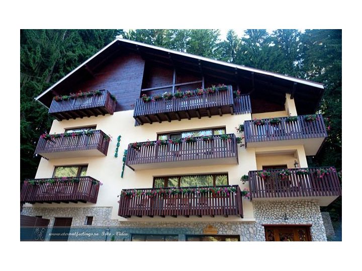 Vila Casa Emil, Poiana Brasov - imaginea 