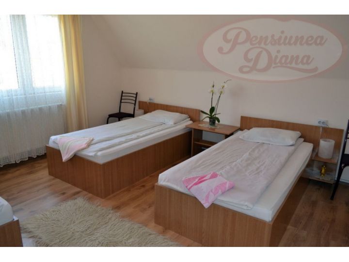 Pensiunea Diana, Cristur - imaginea 