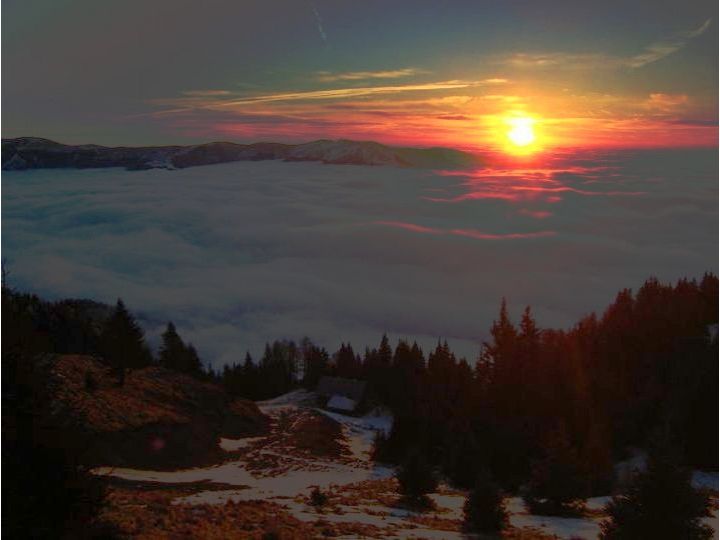 Cabana Stana Tarle, Sinaia - imaginea 