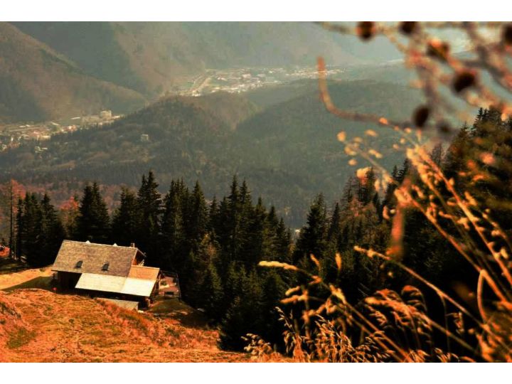 Cabana Stana Tarle, Sinaia - imaginea 