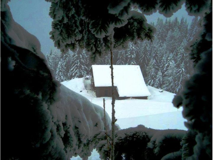 Cabana Stana Tarle, Sinaia - imaginea 