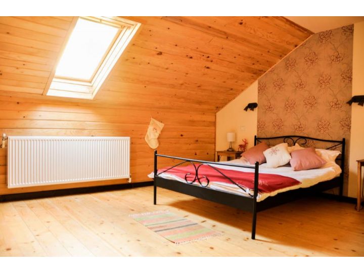 Cabana Stana Tarle, Sinaia - imaginea 