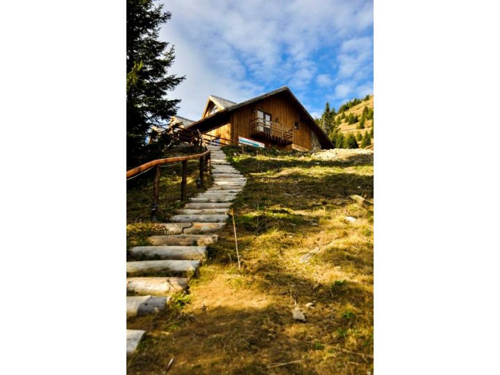 Cabana Stana Tarle, Sinaia - imaginea 