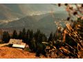 Cabana Stana Tarle, Sinaia - thumb 11