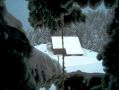 Cabana Stana Tarle, Sinaia - thumb 16