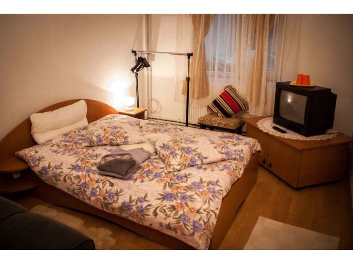 Pensiunea Casa TYK, Ranca - imaginea