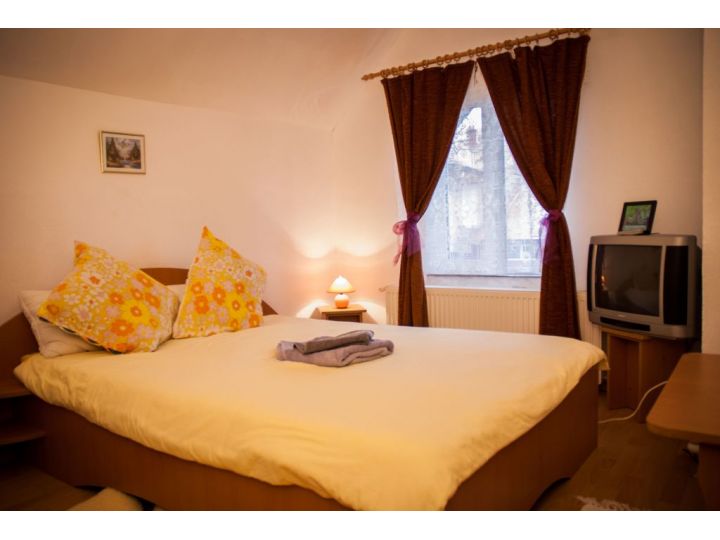 Pensiunea Casa TYK, Ranca - imaginea